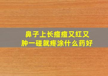 鼻子上长痘痘又红又肿一碰就疼涂什么药好