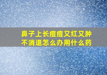 鼻子上长痘痘又红又肿不消退怎么办用什么药