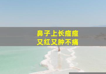 鼻子上长痘痘又红又肿不痛