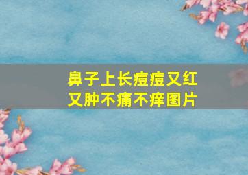 鼻子上长痘痘又红又肿不痛不痒图片