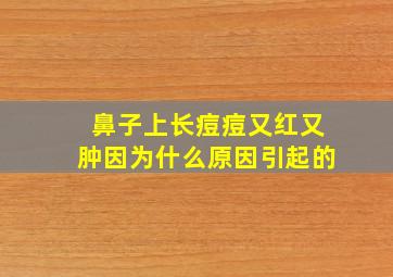 鼻子上长痘痘又红又肿因为什么原因引起的