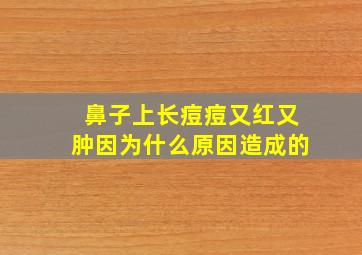 鼻子上长痘痘又红又肿因为什么原因造成的