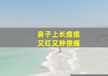 鼻子上长痘痘又红又肿很痛