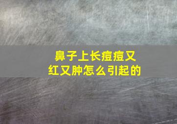 鼻子上长痘痘又红又肿怎么引起的