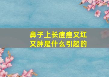 鼻子上长痘痘又红又肿是什么引起的