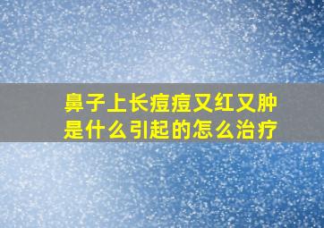 鼻子上长痘痘又红又肿是什么引起的怎么治疗