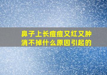 鼻子上长痘痘又红又肿消不掉什么原因引起的