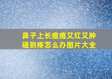 鼻子上长痘痘又红又肿碰到疼怎么办图片大全