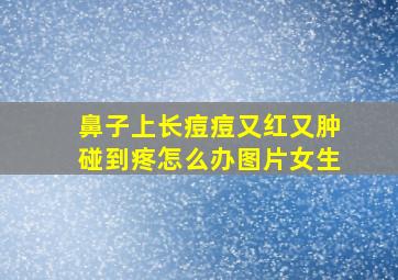 鼻子上长痘痘又红又肿碰到疼怎么办图片女生