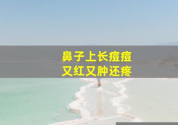 鼻子上长痘痘又红又肿还疼