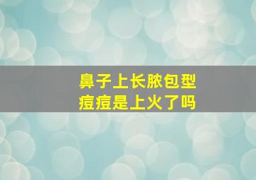 鼻子上长脓包型痘痘是上火了吗