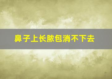 鼻子上长脓包消不下去