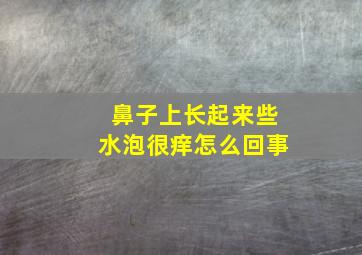 鼻子上长起来些水泡很痒怎么回事