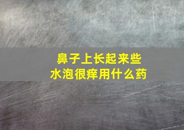 鼻子上长起来些水泡很痒用什么药