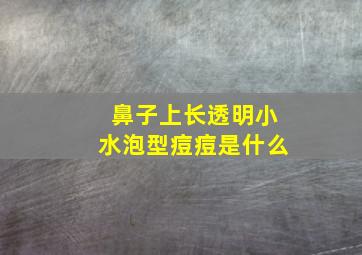 鼻子上长透明小水泡型痘痘是什么