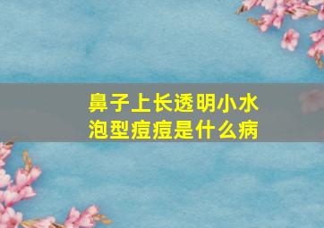 鼻子上长透明小水泡型痘痘是什么病