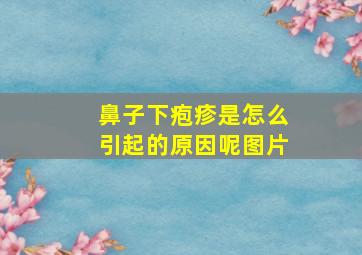 鼻子下疱疹是怎么引起的原因呢图片