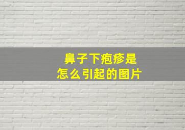 鼻子下疱疹是怎么引起的图片