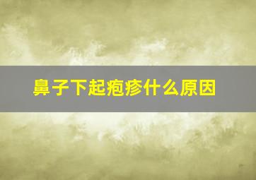 鼻子下起疱疹什么原因