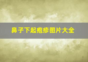 鼻子下起疱疹图片大全