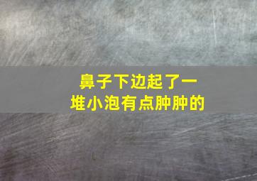 鼻子下边起了一堆小泡有点肿肿的