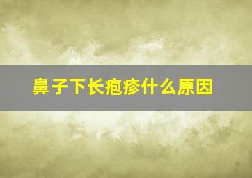 鼻子下长疱疹什么原因