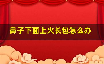 鼻子下面上火长包怎么办