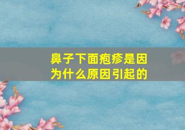 鼻子下面疱疹是因为什么原因引起的