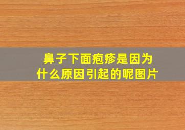 鼻子下面疱疹是因为什么原因引起的呢图片