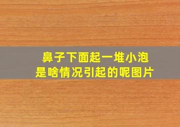 鼻子下面起一堆小泡是啥情况引起的呢图片