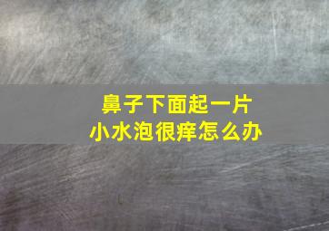 鼻子下面起一片小水泡很痒怎么办