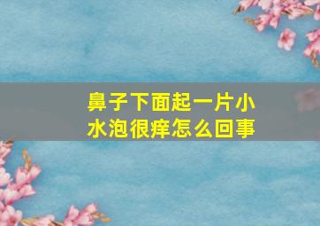 鼻子下面起一片小水泡很痒怎么回事