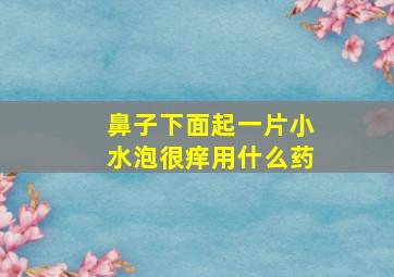 鼻子下面起一片小水泡很痒用什么药