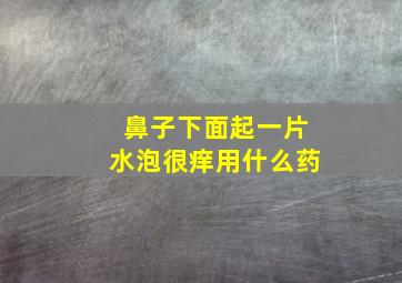 鼻子下面起一片水泡很痒用什么药