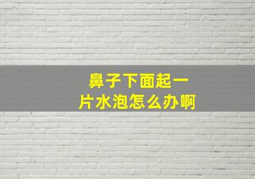 鼻子下面起一片水泡怎么办啊