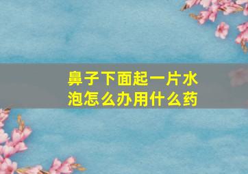 鼻子下面起一片水泡怎么办用什么药