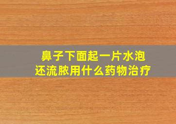 鼻子下面起一片水泡还流脓用什么药物治疗