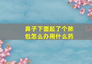 鼻子下面起了个脓包怎么办用什么药