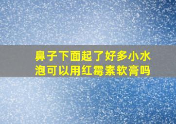 鼻子下面起了好多小水泡可以用红霉素软膏吗