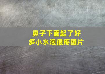 鼻子下面起了好多小水泡很疼图片