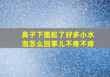 鼻子下面起了好多小水泡怎么回事儿不疼不痒