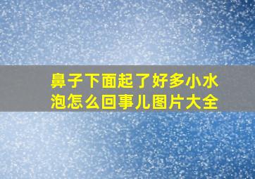 鼻子下面起了好多小水泡怎么回事儿图片大全