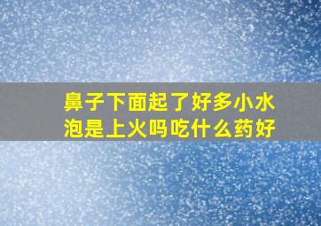 鼻子下面起了好多小水泡是上火吗吃什么药好