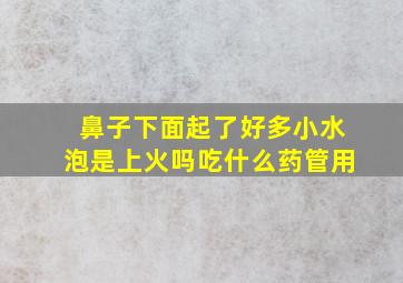 鼻子下面起了好多小水泡是上火吗吃什么药管用