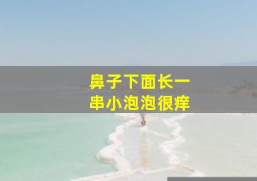 鼻子下面长一串小泡泡很痒