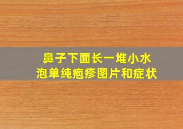 鼻子下面长一堆小水泡单纯疱疹图片和症状