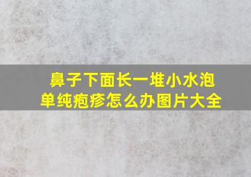 鼻子下面长一堆小水泡单纯疱疹怎么办图片大全