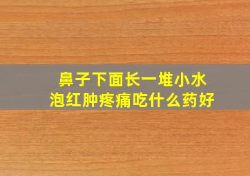 鼻子下面长一堆小水泡红肿疼痛吃什么药好