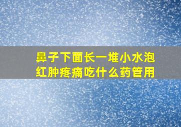 鼻子下面长一堆小水泡红肿疼痛吃什么药管用