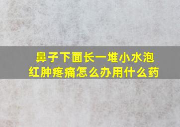 鼻子下面长一堆小水泡红肿疼痛怎么办用什么药